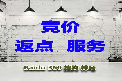 SEM推广技巧：实战案例教你打造爆款产品